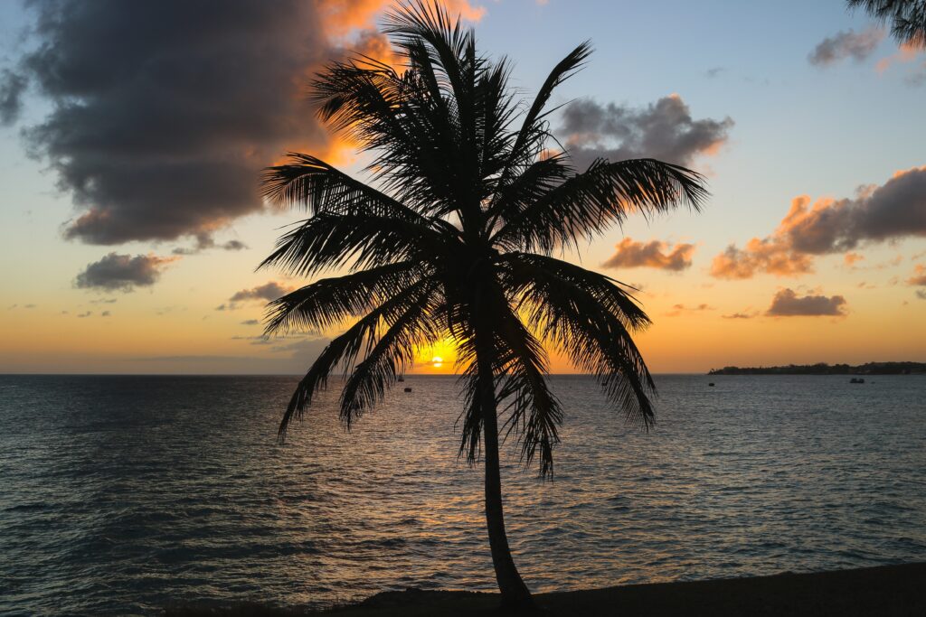 LUA DE MEL BARBADOS